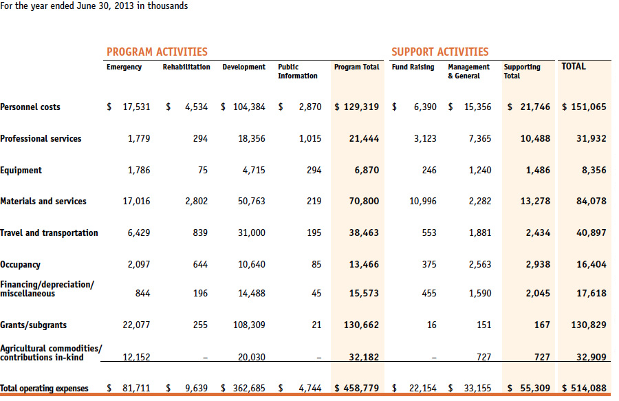 Statement Of Functional Expenses Template